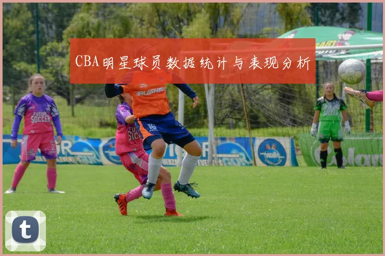 CBA明星球员数据统计与表现分析